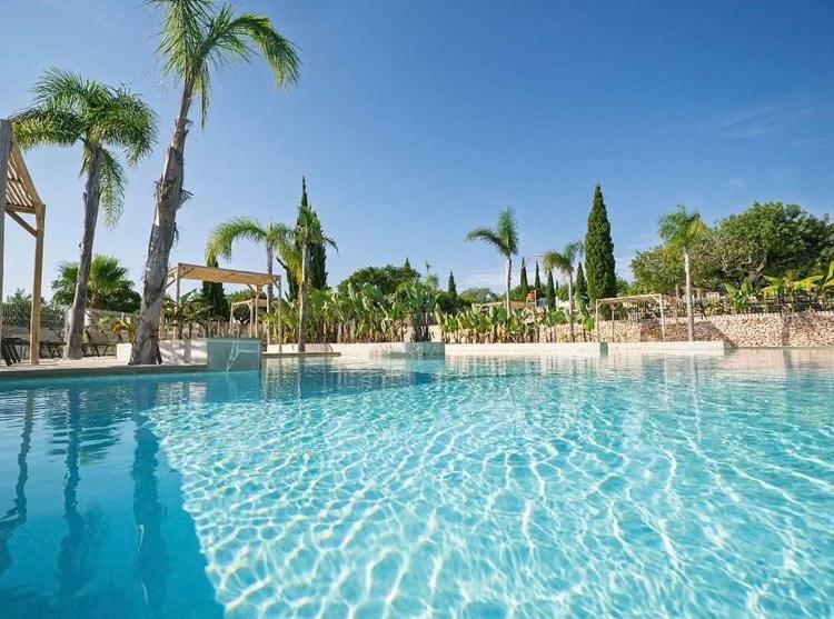 a large swimming pool with palm trees in a resort at Camping L'Orangeraie in Cálig