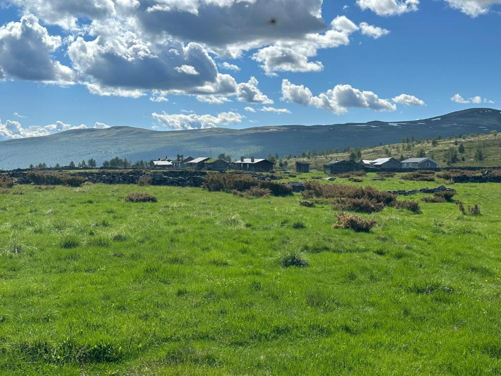 a field of green grass with mountains in the background at Bottheimsætra 