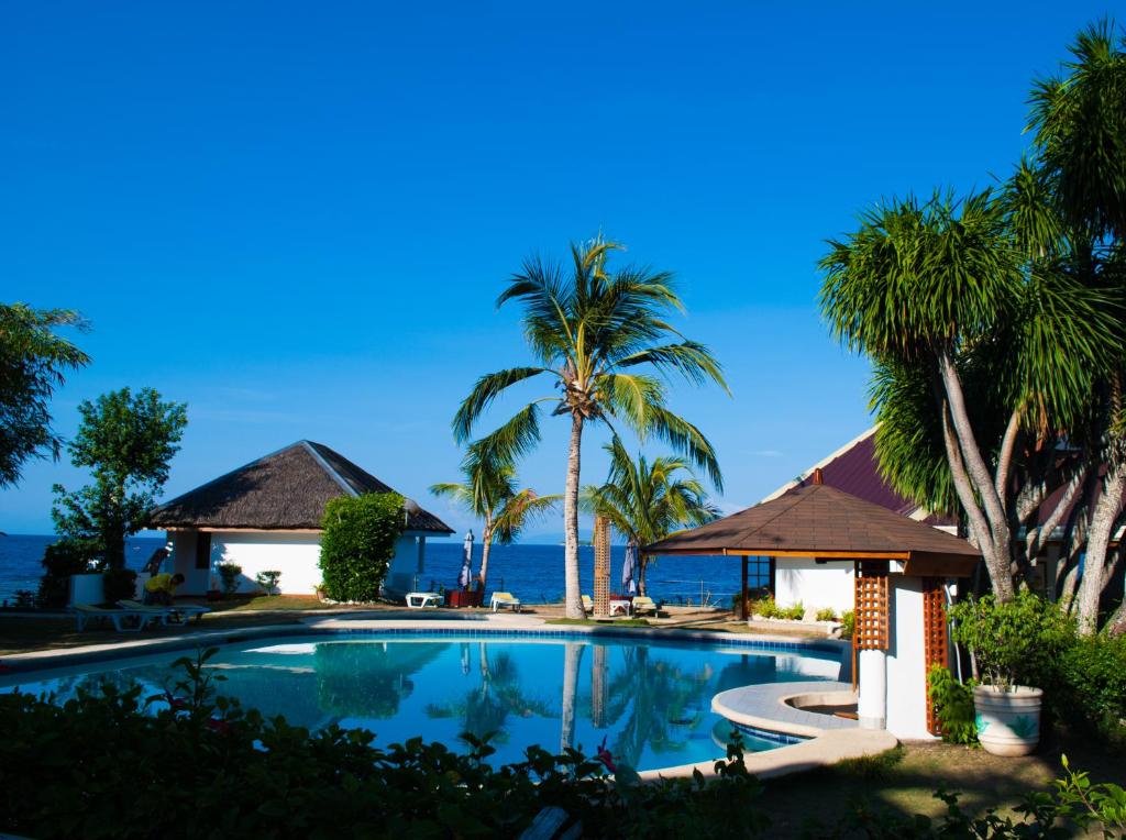 Bazén v ubytování Quo Vadis Dive Resort nebo v jeho okolí