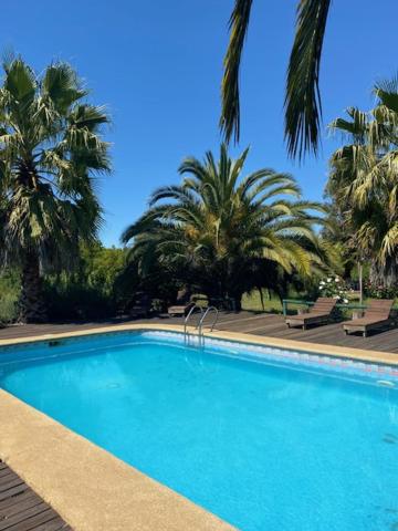 una gran piscina azul con palmeras en el fondo en La Rinconada Quillon, en Quillón