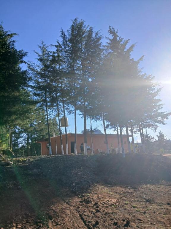 a group of trees in front of a building at Casa Terral in Balastre Rojo