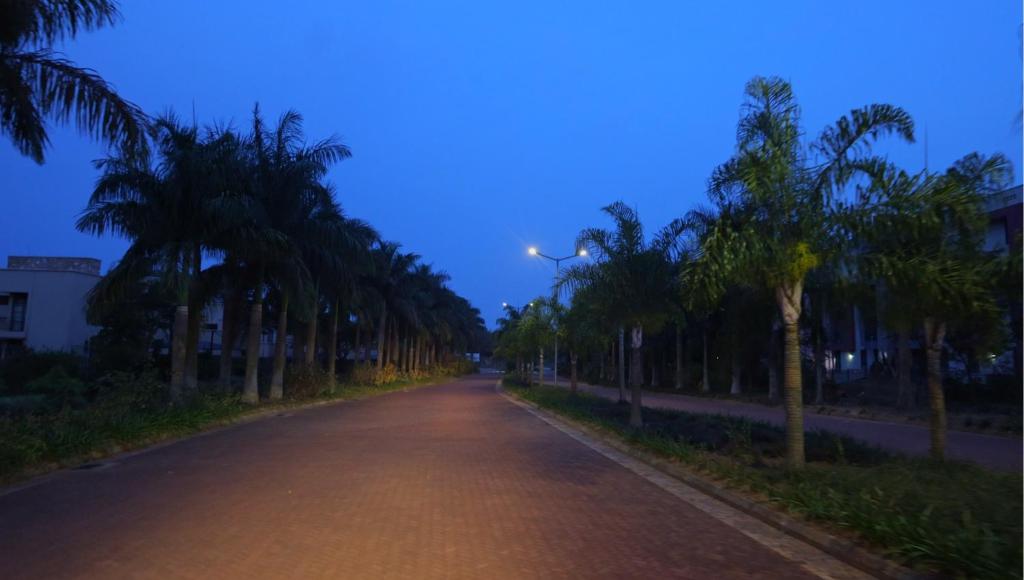een lege weg omzoomd met palmbomen in de schemering bij Entebbe Waterfront Home in Kagolomolo
