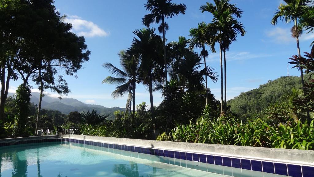 une piscine avec des palmiers et des montagnes en arrière-plan dans l'établissement Strathisla Tea Estate Bungalow, à Matale