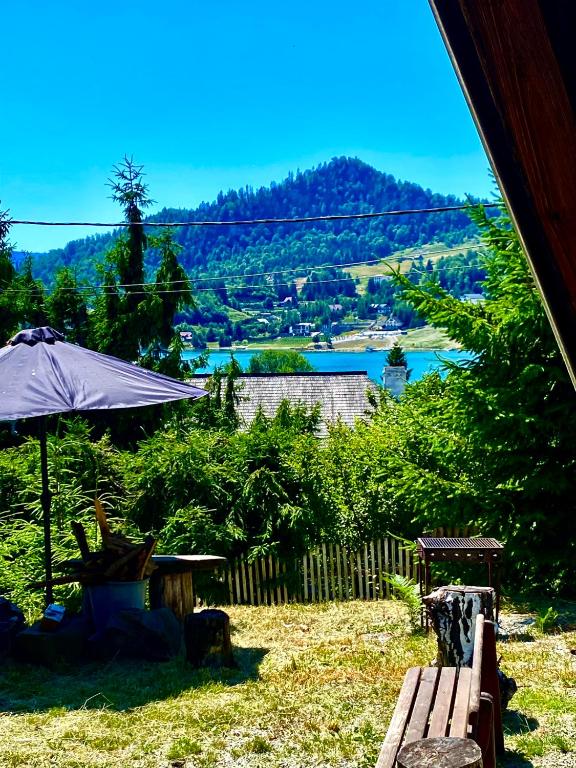 a bench with an umbrella and a view of a lake at Casa dintre Brazi Colibita in Colibiţa