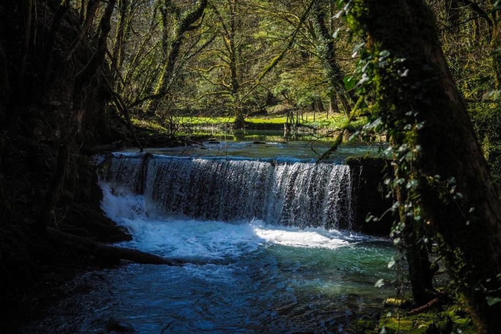 Φυσικό τοπίο κοντά σε αυτό το διαμέρισμα