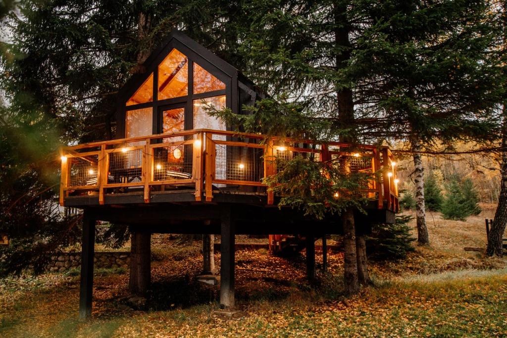 ノヴァ・ヴァロシュにあるKuća na drvetu - Zlatar Hill - Treehouseの森の中にあるライト付きのツリーハウス