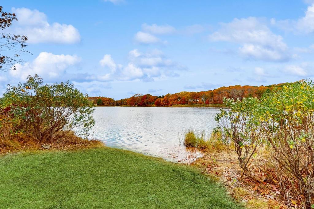 Příroda nedaleko prázdninového domu