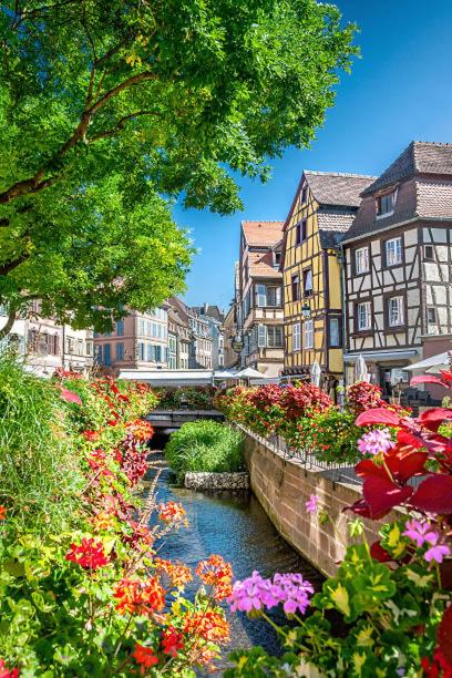 La Cotonnière Colmar Downtown – photo 27