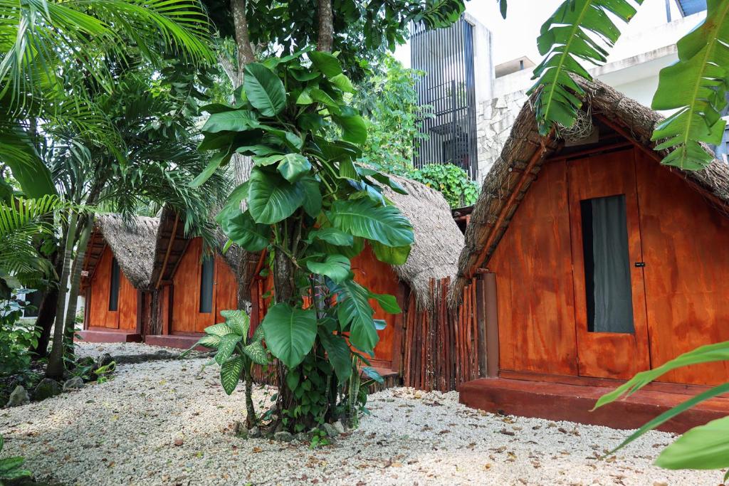 une petite maison en bois avec un arbre devant dans l'établissement El Búho Bacalar Eco-Cabañas Hostal, à Bacalar