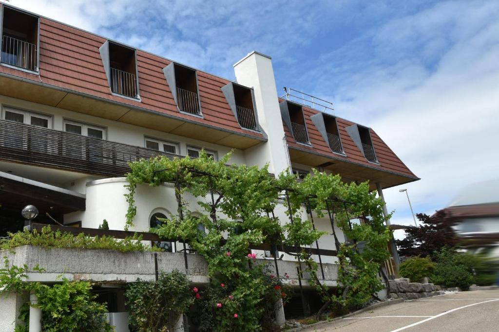 WangenにあるPension Lindeの側面に植物が植えられた建物