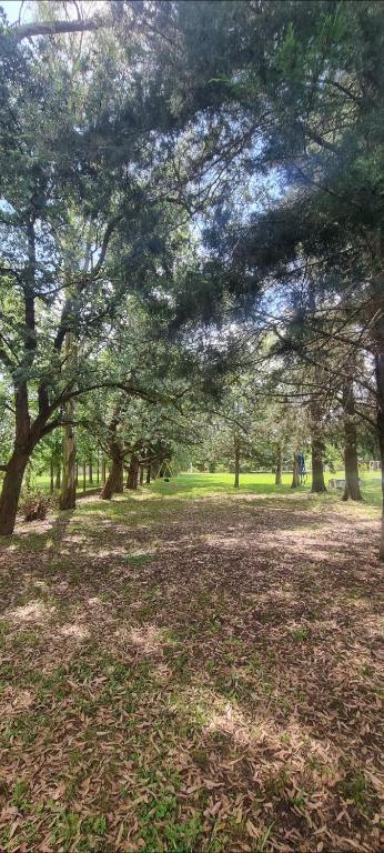 Κήπος έξω από το El Kyrios