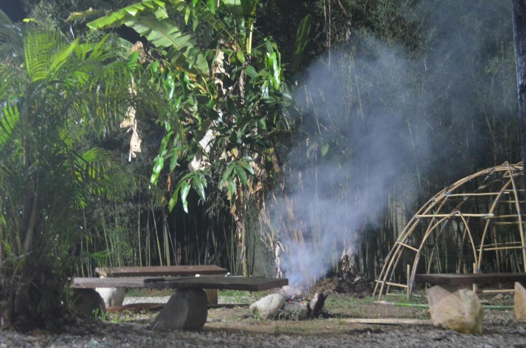 uma mesa de piquenique com fumaça em frente a uma floresta em Duni Hostal em Estación El Salto