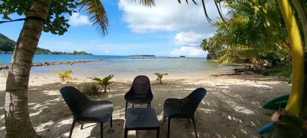 Le Neliza Beach Lodge Raiatea, Opoa - photo 8 - Raiatea, Polynésie