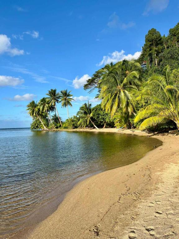 Le Neliza Beach Lodge Raiatea, Opoa - photo 11 - Raiatea, Polynésie