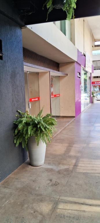 a plant in a pot sitting outside of a building at Apartamento aconchegante na Asa Norte in Brasilia