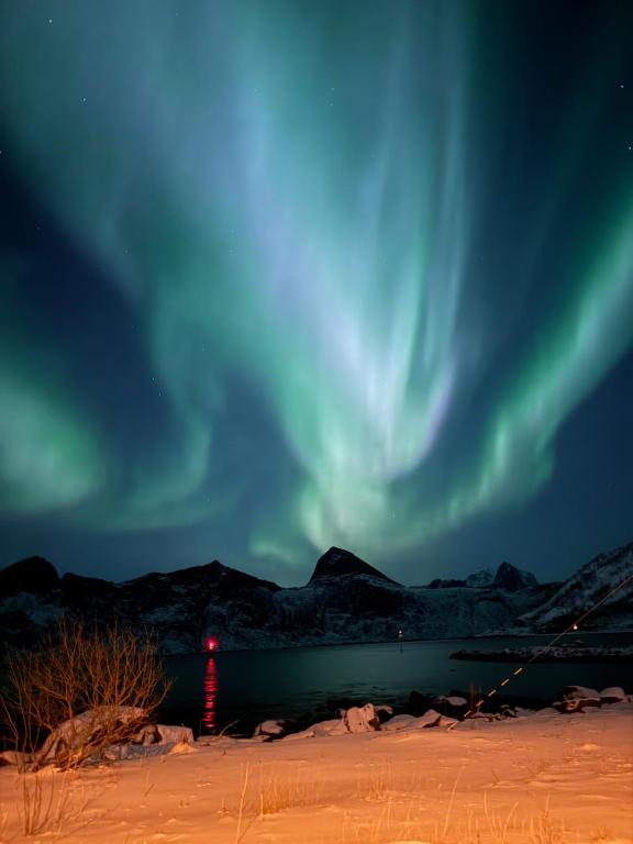 ein Polarlicht über einem Gewässer bei Nacht in der Unterkunft Solstad in Senja