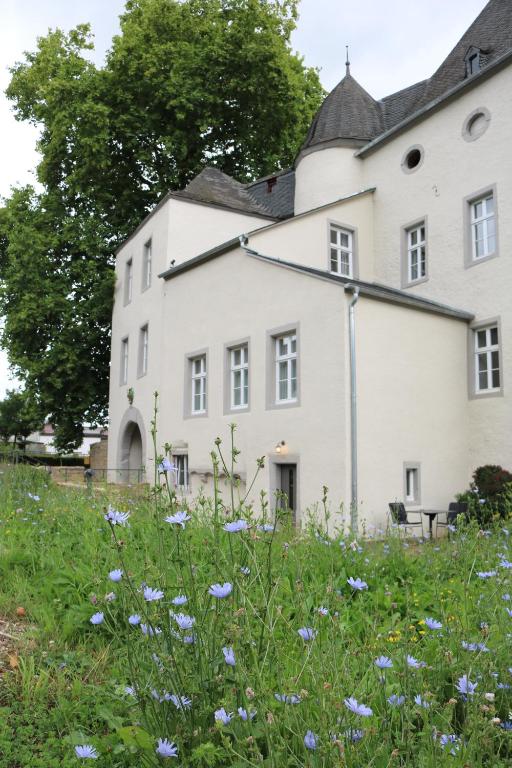 een wit huis met een bloemenveld bij Charmantes Chateau Lichter - Alte Schmiede in Ließem