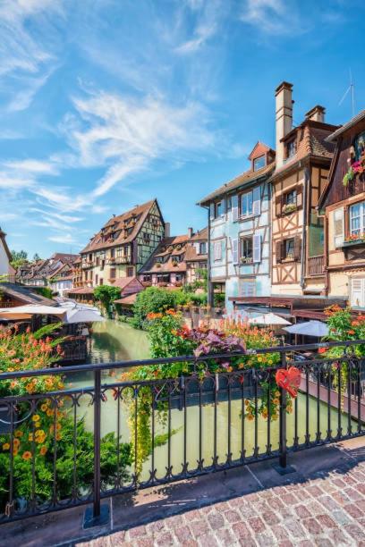 La Cotonnière Colmar Downtown – photo 25