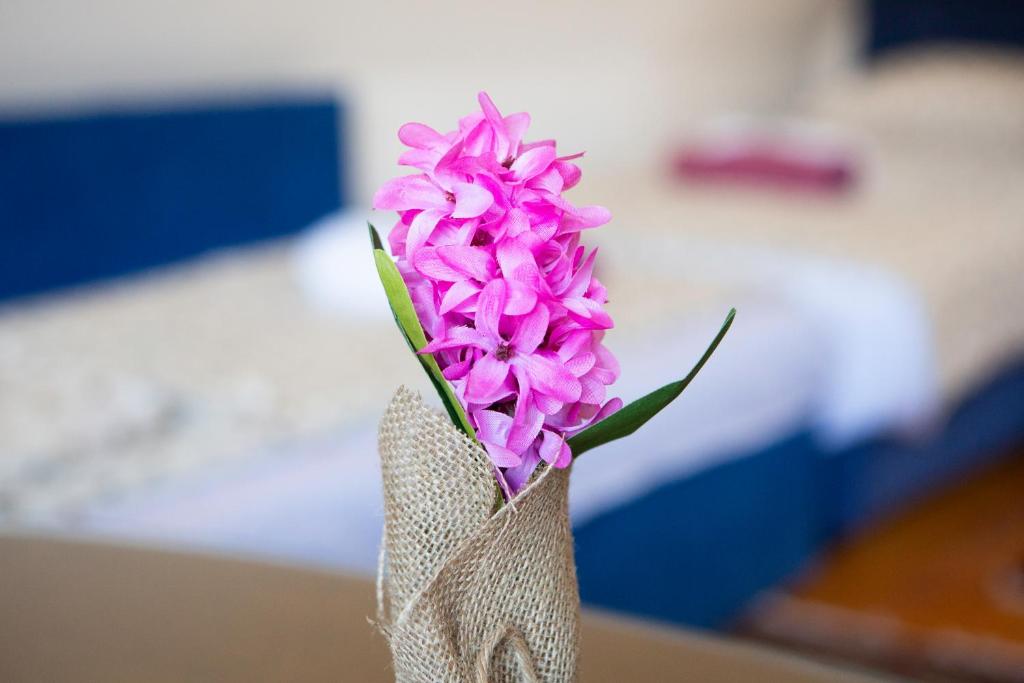 En eller flere senge i et værelse på Planinska kuća S&I