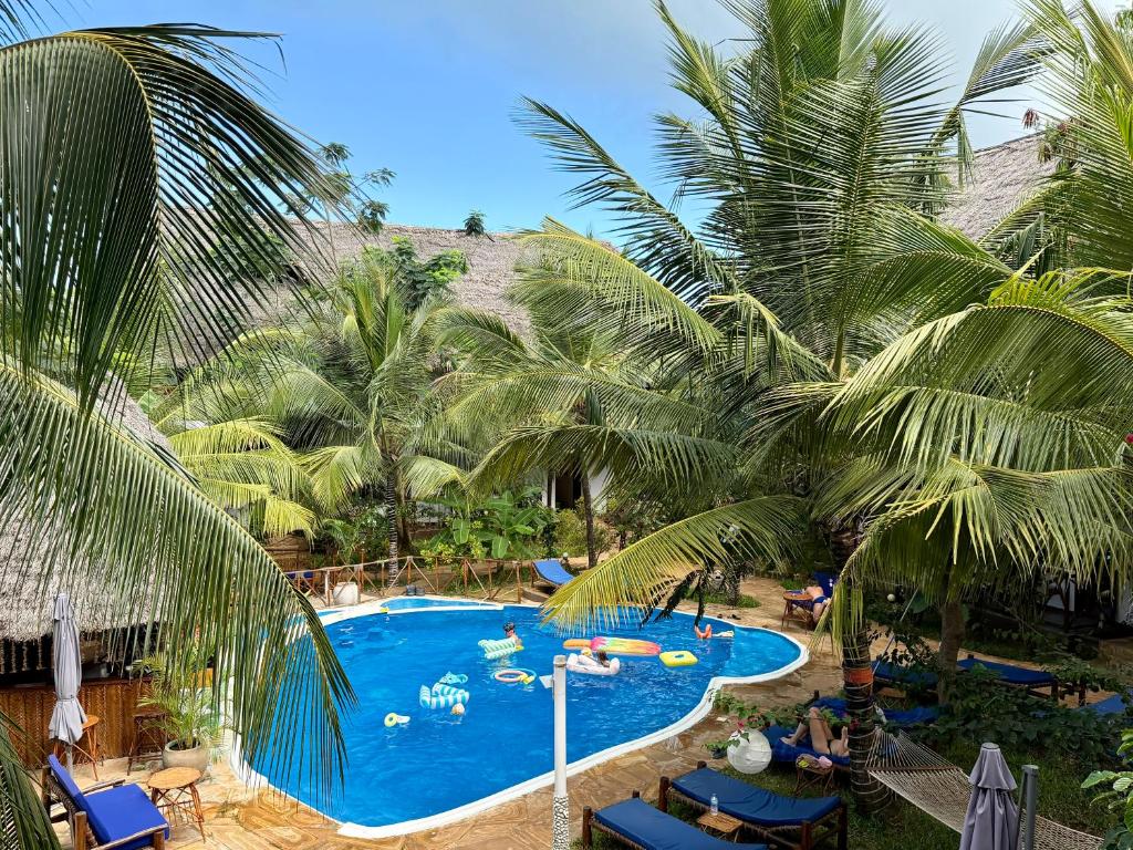 an overhead view of a swimming pool with palm trees at Oasis Nungwi in Kendwa Mchangani