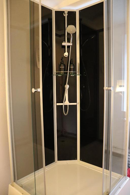 a shower with a glass enclosure in a bathroom at Hostel Bertha-Marie Flamingo Lounge in Greifswald