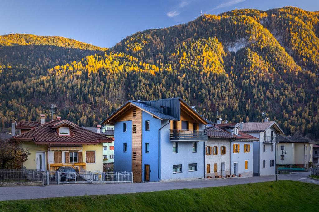 a row of houses in front of a mountain at B&B Soreghina in Malè