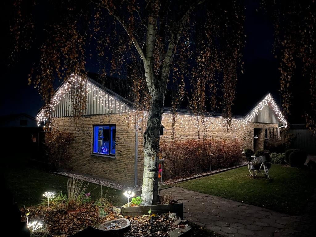 Zahrada ubytování The Dream Villa