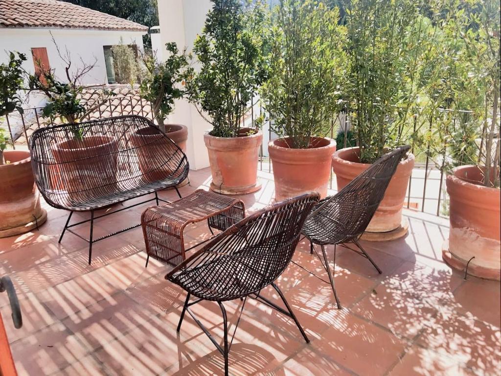 un patio con 4 sedie e piante in vaso di Casapueblo Rent Cachagua CP 02 a Cachagua