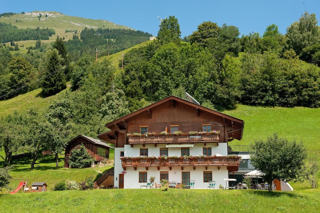 a house in a field with a hill in the background at Ferienwohnung Hartlbauer In Dorfgastein in Dorfgastein