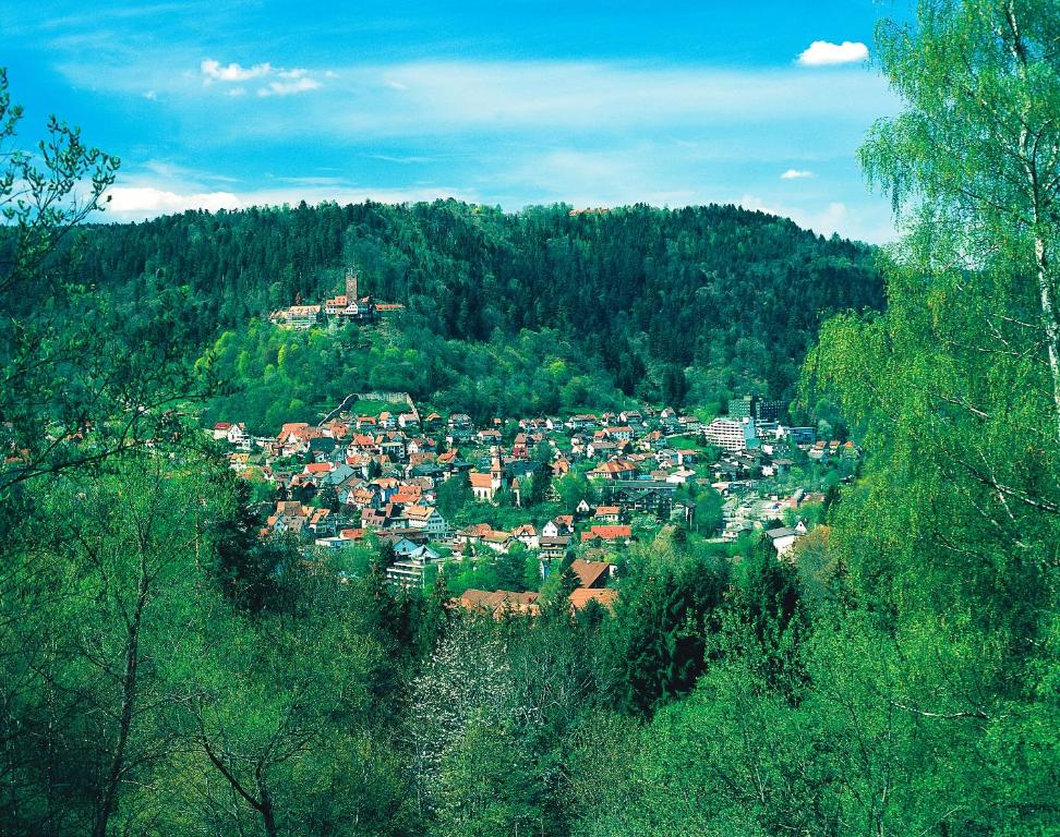 Příroda nedaleko hotelu