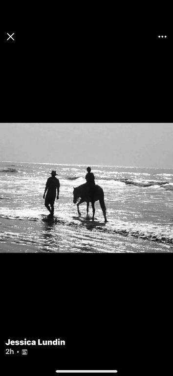 Jusula Beach Bungalows, Sanyang Beach, Free Wifi 4