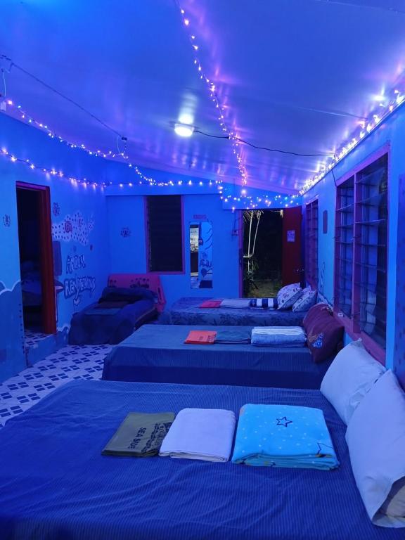a room with three beds with lights on the ceilings at SeaSide Amour Rendezvous Dormitory BEDS and Airport Shuttles in Korotogo