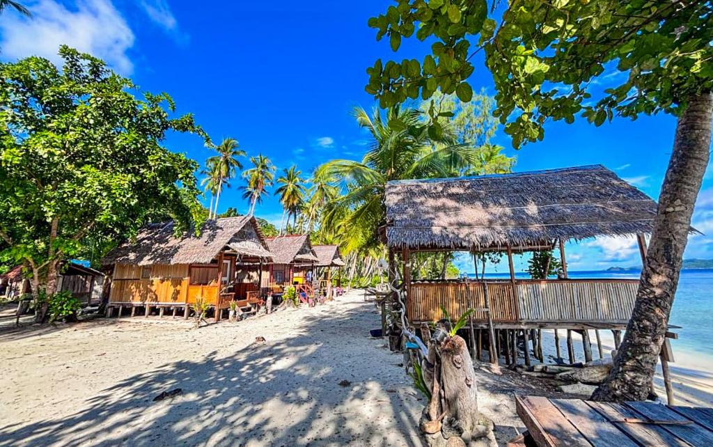 Příroda nedaleko penzionu