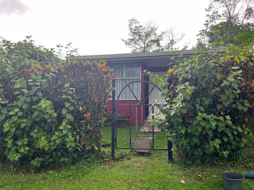 a garden gate in front of a house at El Jardín de Tere in Bijagua