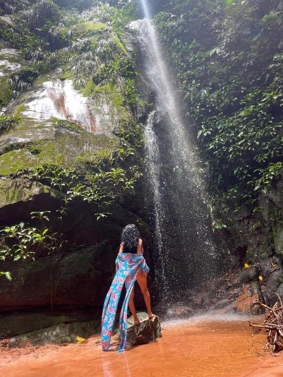 Mirador Jungle El Macuti