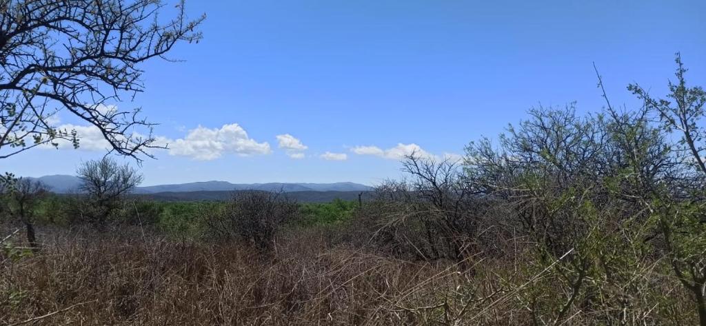 ein Feld mit hoher Wiese mit Bergen im Hintergrund in der Unterkunft Mambo Paraíso in Los Sauces