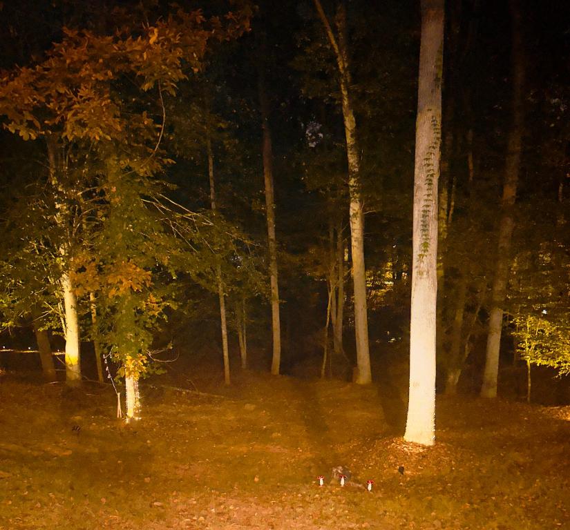 Gallery image of Creekside Basement Retreat in Stockbridge