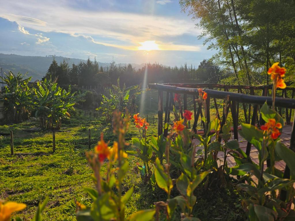 a garden with flowers in the foreground with the sunset in the background at Finca La Preciosura in Horizonte