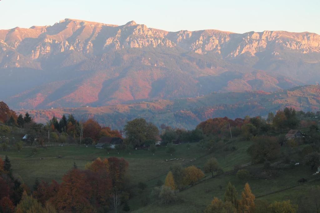 a view of a mountain range with trees and mountains at Pensiunea Pestera in Peştera