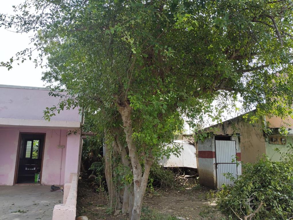 Το κτήριο όπου στεγάζεται  το δωμάτιο σε οικογενειακή κατοικία