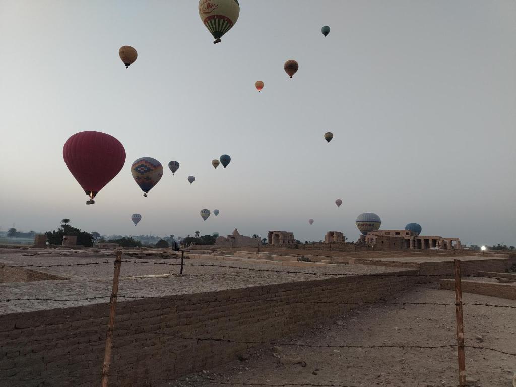 Rose Guest House - 14