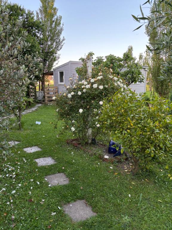 Un jardín con un árbol con flores blancas. en Peaceful private and semi rural, en Marton