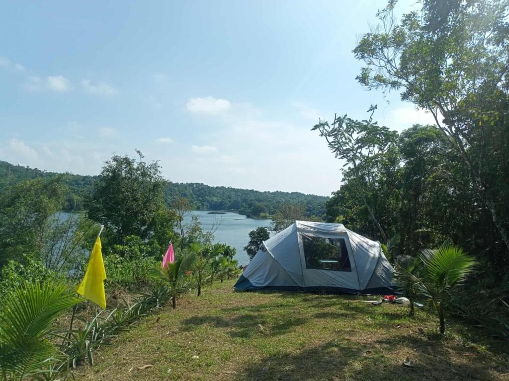 Příroda nedaleko kempu