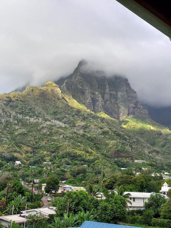 Ataani Lodge, Hiva Oa - photo 9 - Hiva Oa, Polynésie