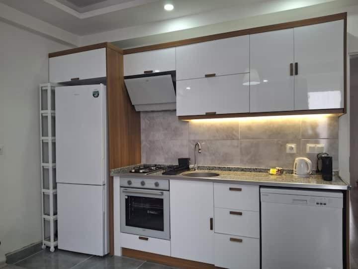 Kuchyň nebo kuchyňský kout v ubytování Cansu Apart