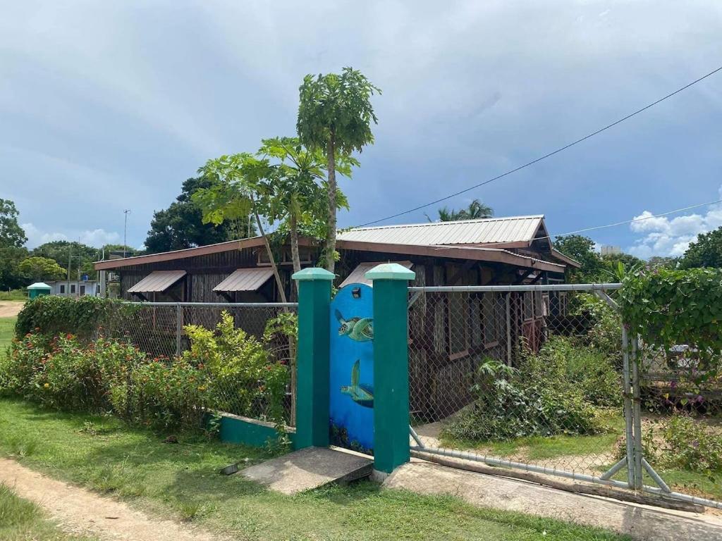 a house with a blue and green water fountain at Caribbean House in Sarteneja