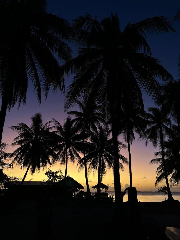 Fare RekaReka - photo 8 - Fakarava, Polynésie