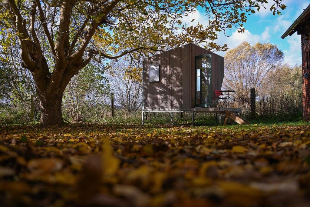 Una pequeña casa sentada en la hierba junto a un árbol en Sleep Space 2 - Green&Tiny Spot Osterwieck Birkenmühle, en Osterwieck