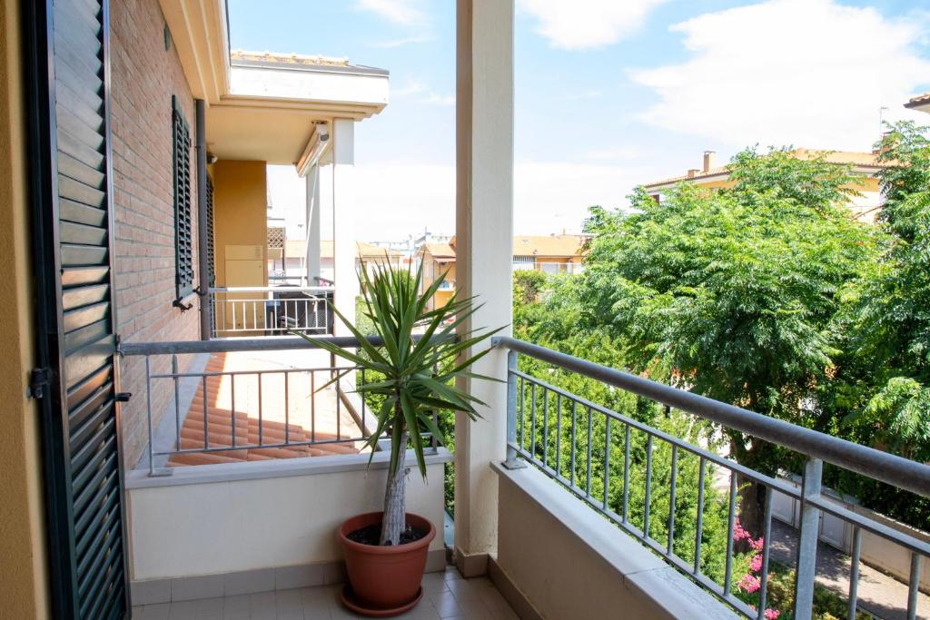 balcone con pianta in vaso e finestra di Casa della Zia a Marotta