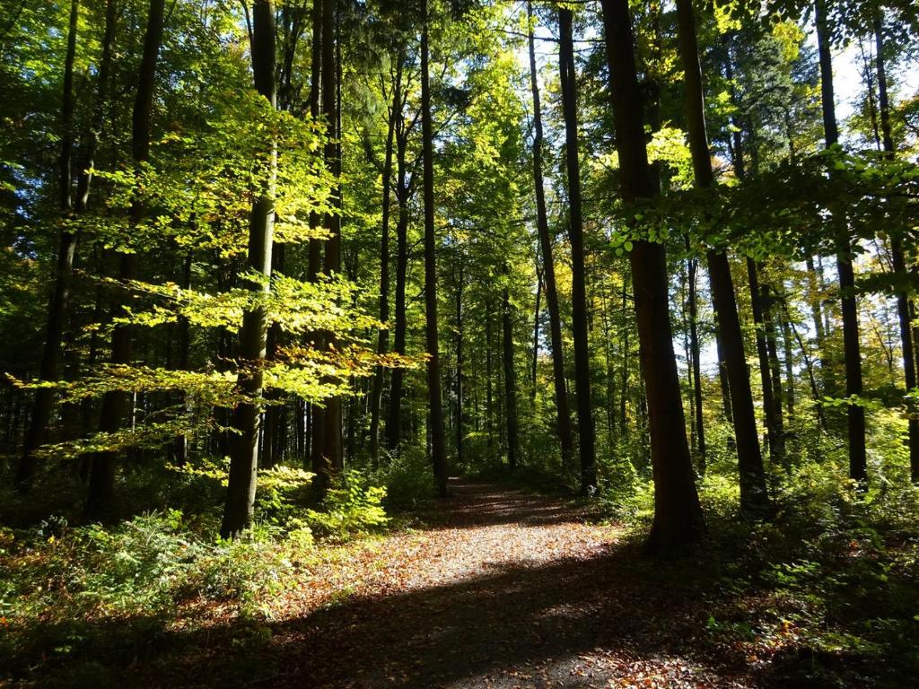 Φυσικό τοπίο κοντά σε αυτή η παραθεριστική κατοικία